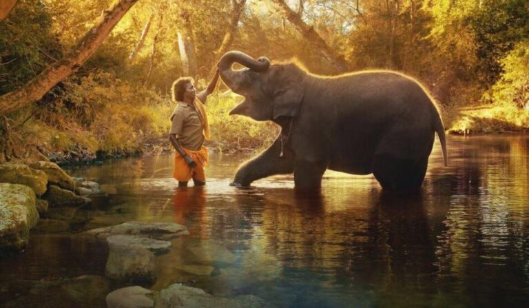 The Elephant Whisperers: Indian Short Movie has Made History Winning Oscar 2023